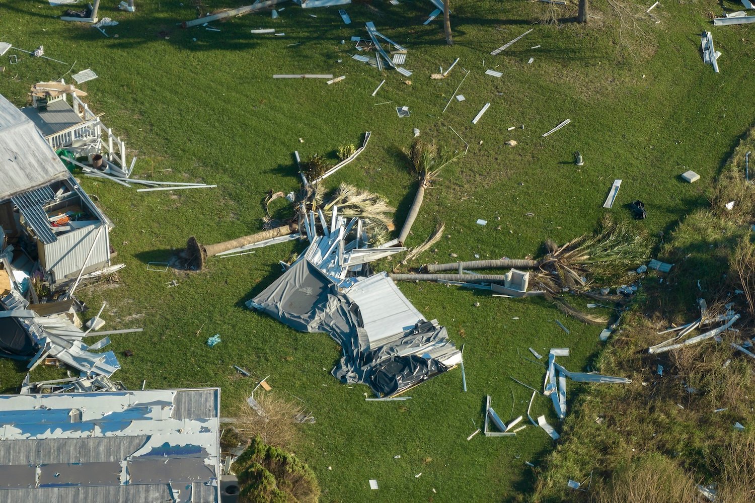 Storm Damage Restoration Services in Denver, CO - Independent Restoration Services